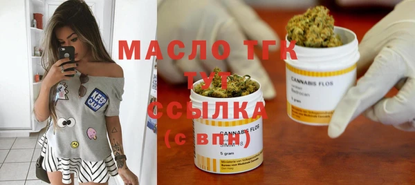 индика Тавда