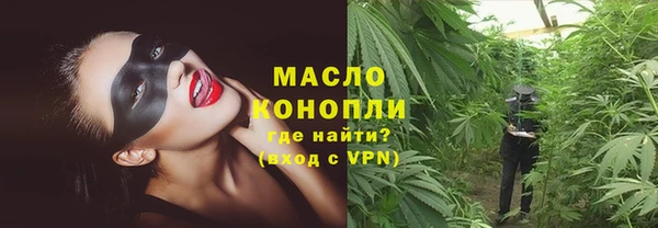 твердый Сясьстрой