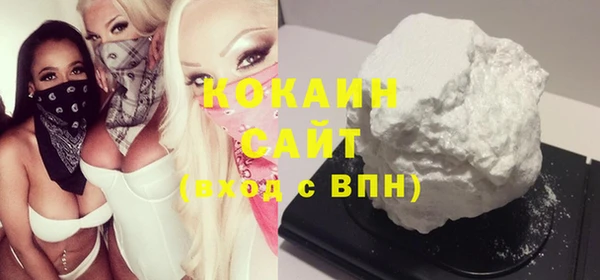индика Тавда