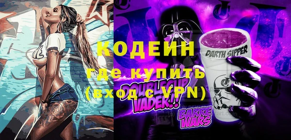 индика Тавда
