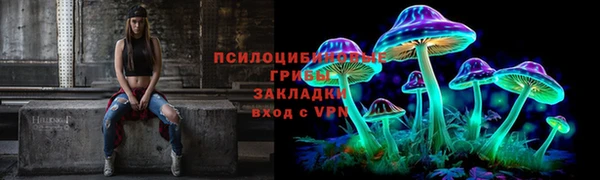 твердый Сясьстрой