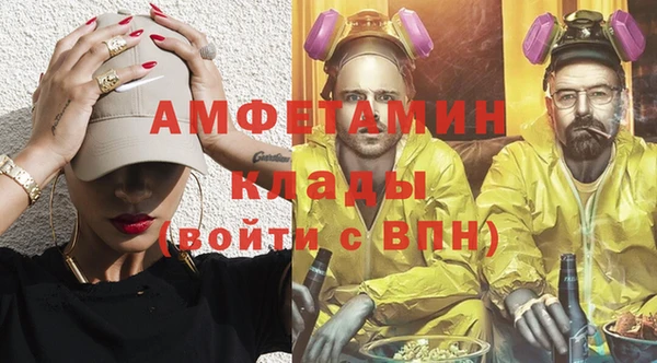 дмт Тайга