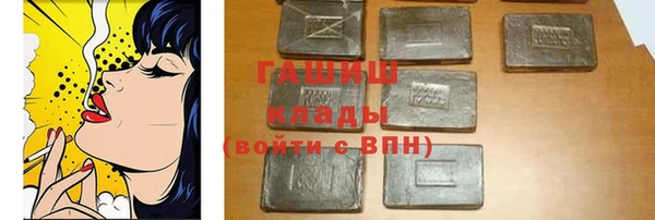 индика Тавда