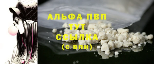 дмт Тайга