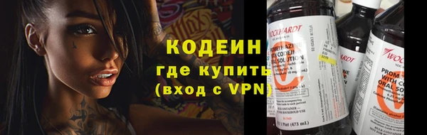 твердый Сясьстрой