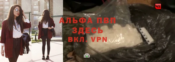 индика Тавда