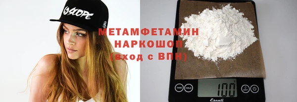 дмт Тайга