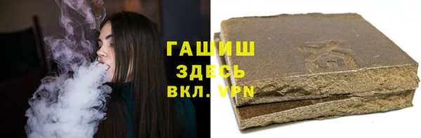индика Тавда