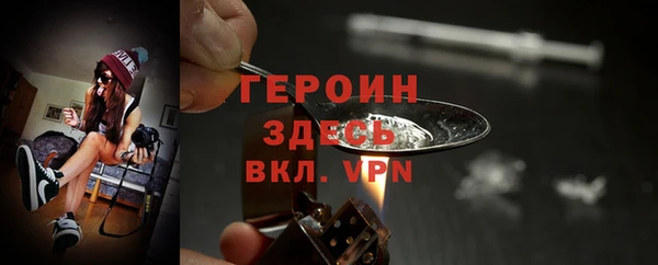 дмт Тайга