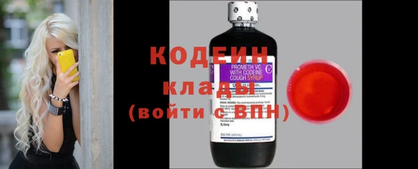 дмт Тайга