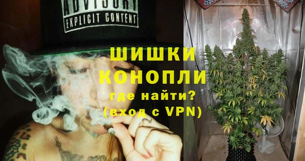 твердый Сясьстрой
