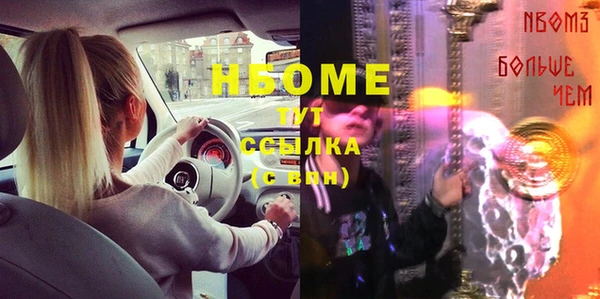 твердый Сясьстрой
