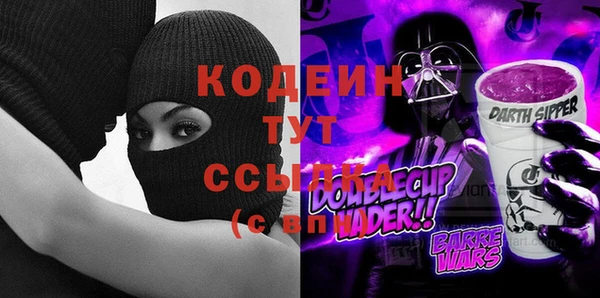 твердый Сясьстрой