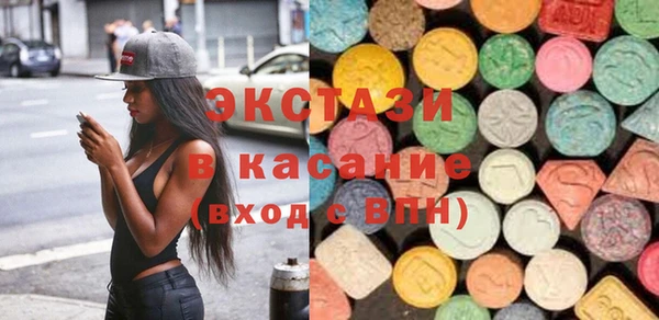 индика Тавда