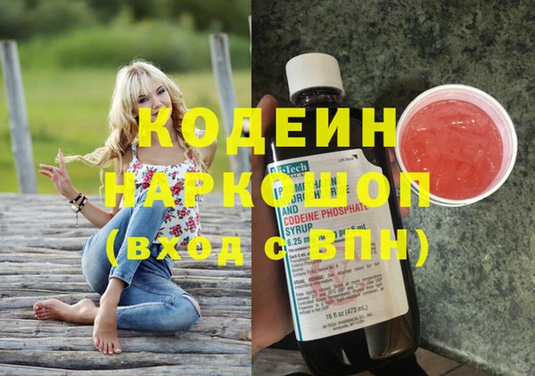 индика Тавда