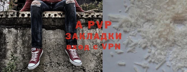 индика Тавда