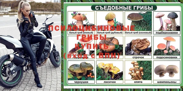 твердый Сясьстрой