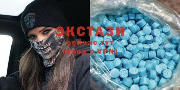 дмт Тайга