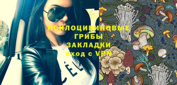 дмт Тайга