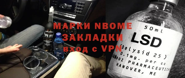 индика Тавда