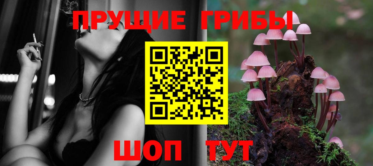 Галлюциногенные грибы Cubensis  Галлюциногенные грибы Cubensis  наркота  Вход с VPN  Люберцы 